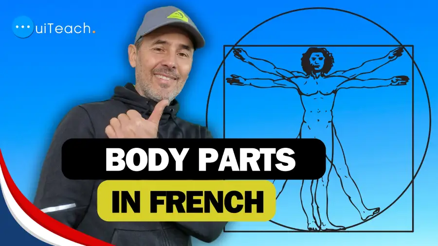 Body parts in French