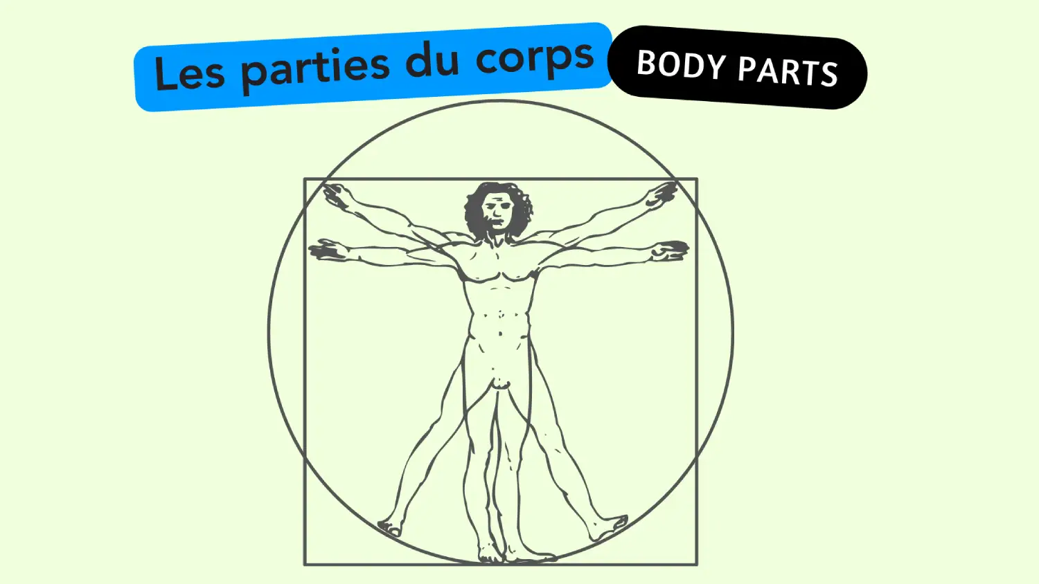 Human Body Parts in French